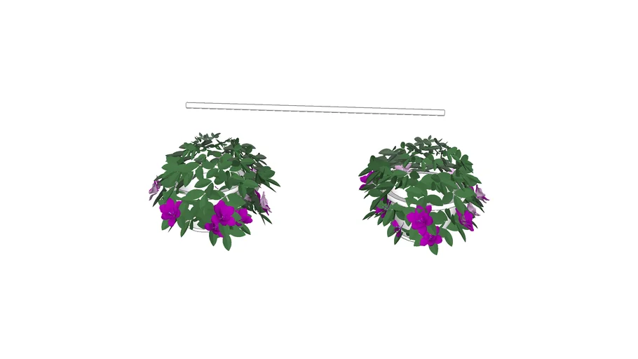 Street lamp hanging baskets