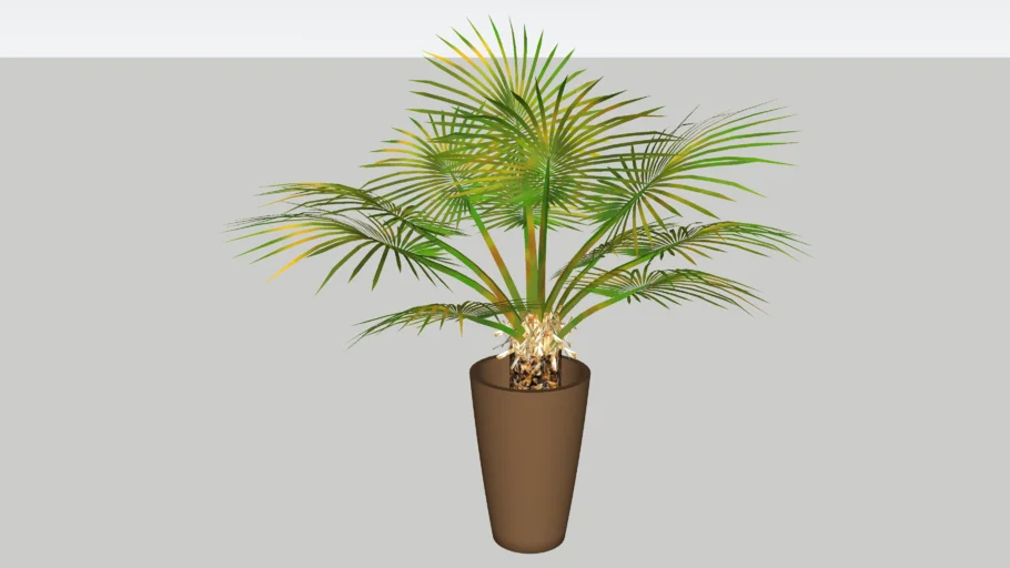 Vaso com planta