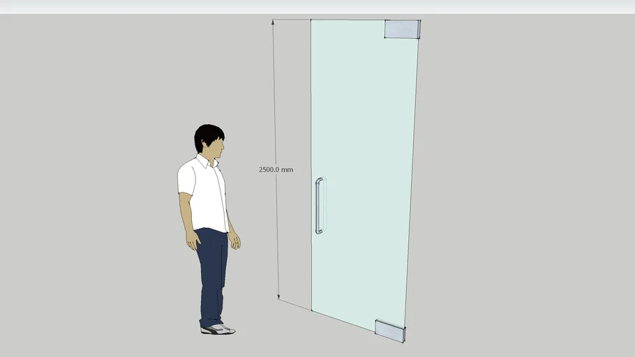 frameless door 2016