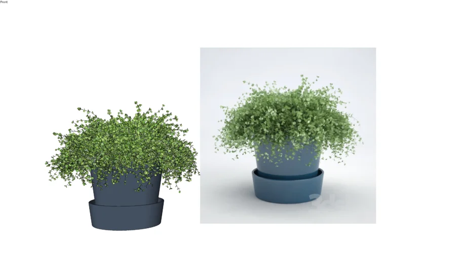 TABLE POTS PLANT (10).skp