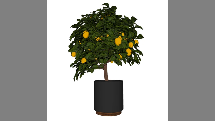Tree for viz-people