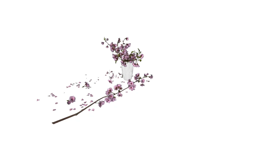 peach blossom