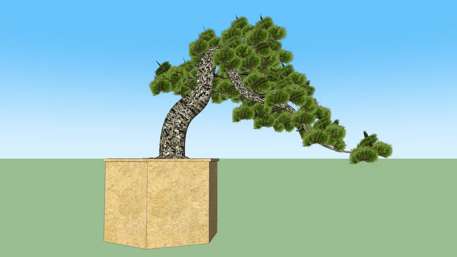BONSAI | 3D Warehouse