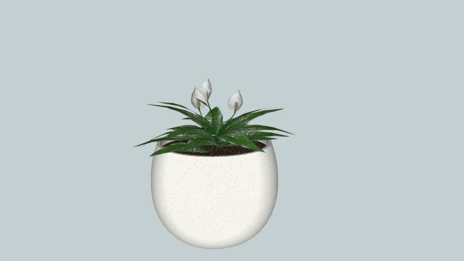 Vaso grande redondo com folhagem de Antúrios