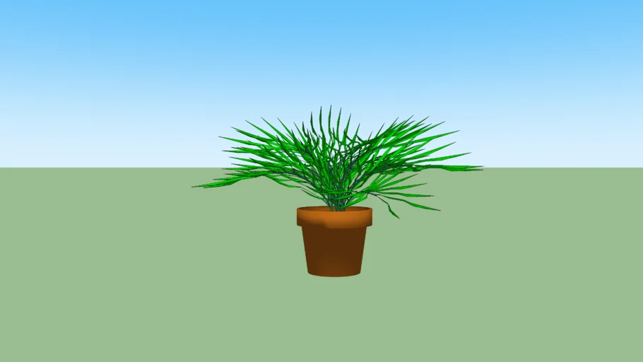 Maceta con plantas