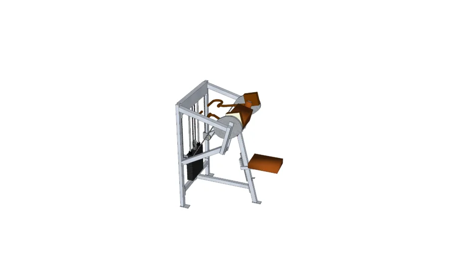 Nautilus Multi-Biceps machine