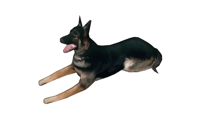 perro