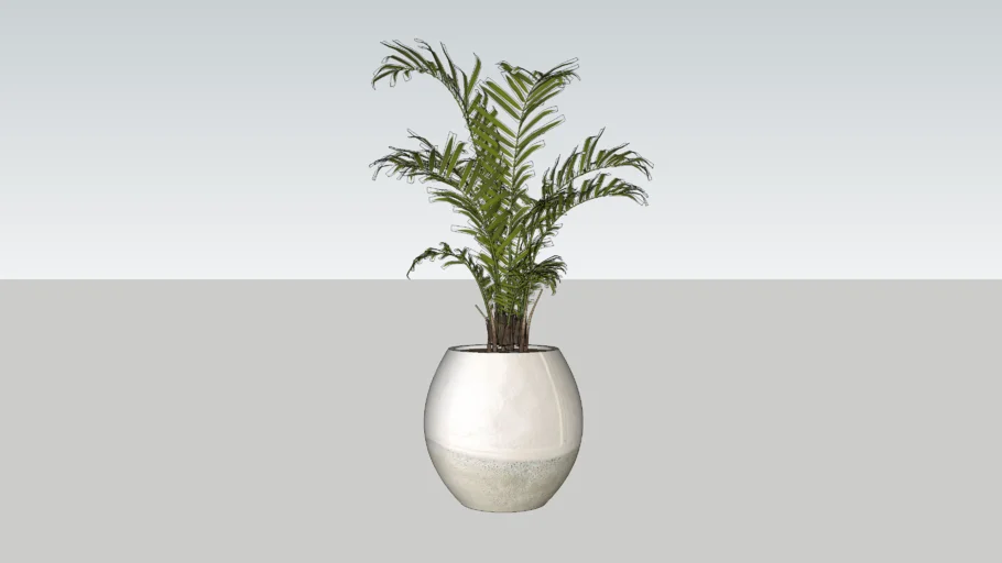 Planter + Plant