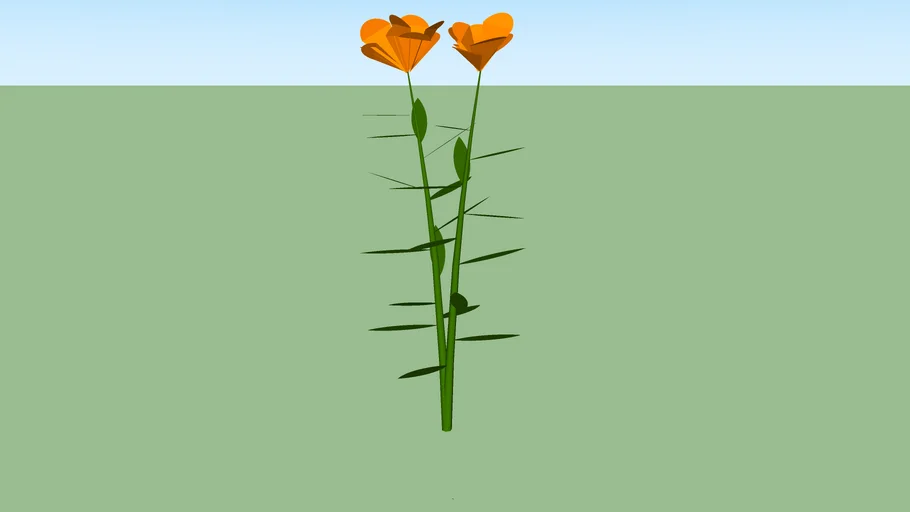 Butterfly Milkweed (Asclepias tuberosa)