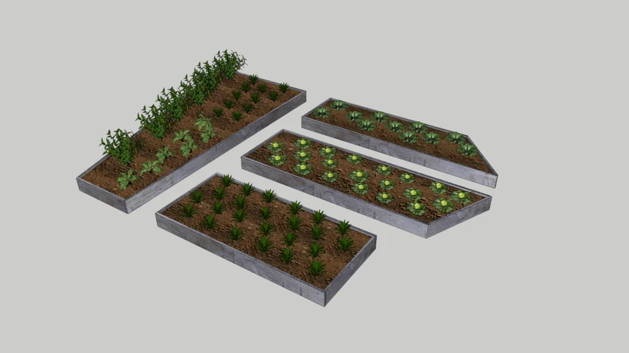 Vegetable garden with raised beds