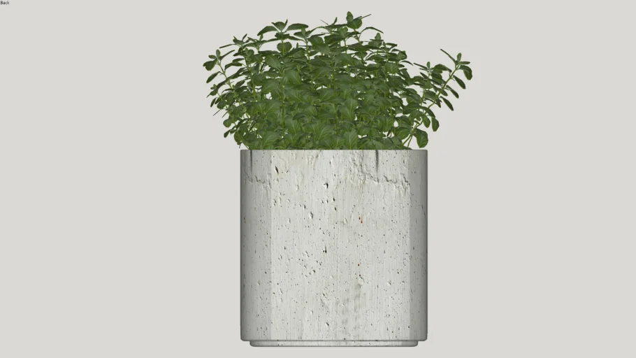 vaso