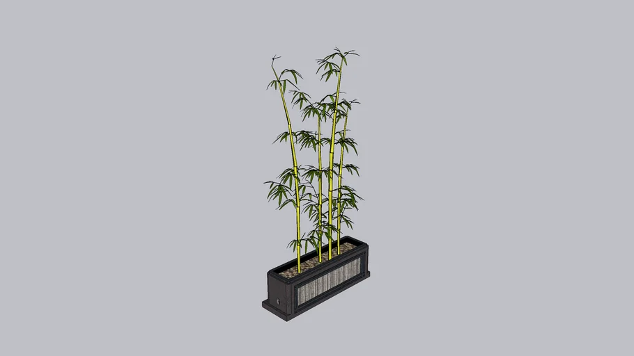 Bamboo Garden