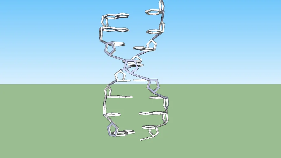 ADN