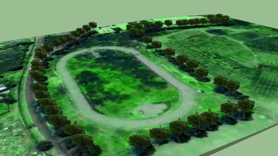 Trees around the Olympic track at Physical Eduction collage, Baghdad ...