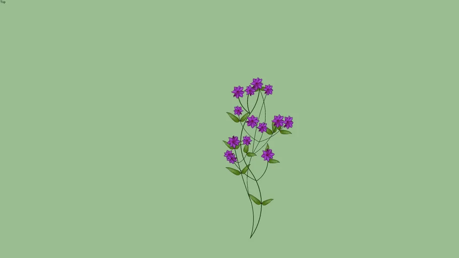 Flor 08