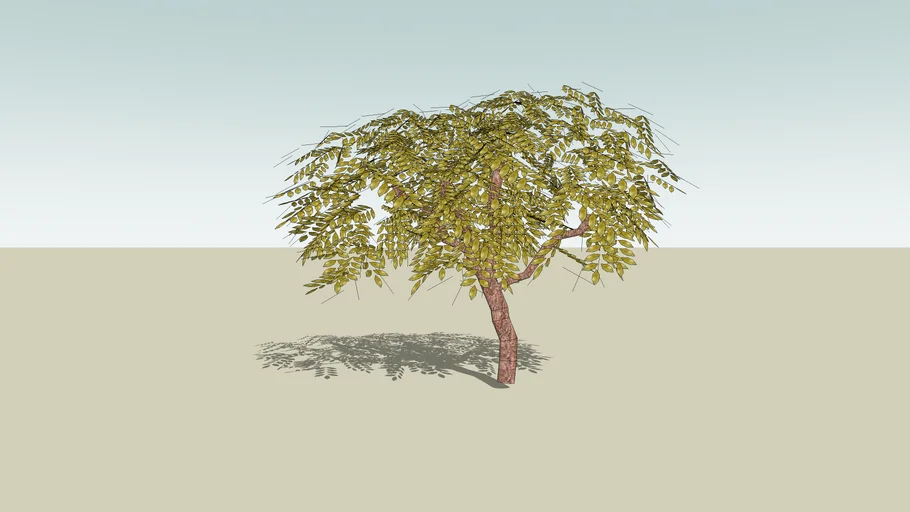 3D Palo Verde High Polygon