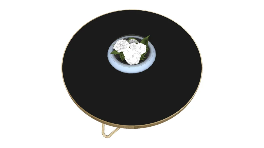 coffee table with flower bowl