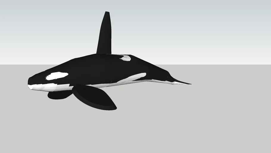 Orca (killer) Whale