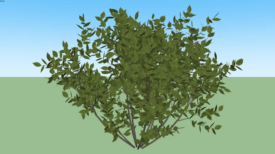 Skatter Shrub 03 | 3D Warehouse