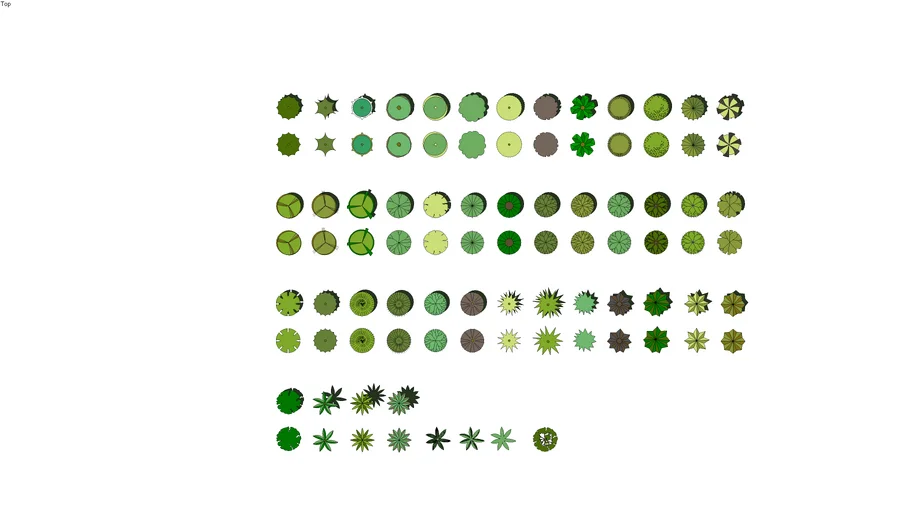 Trees in Plan