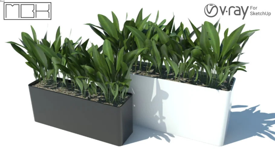 VASO PLANTA 13