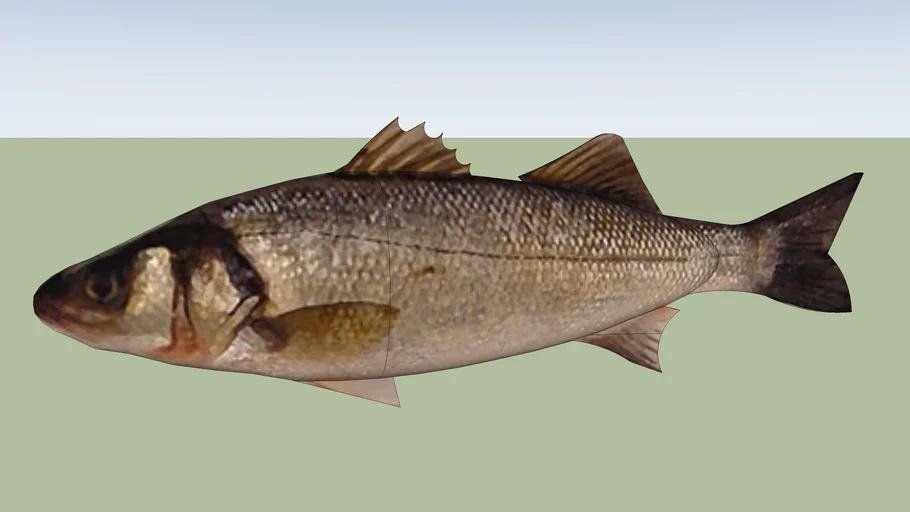 bandeng fish / ikan bandeng
