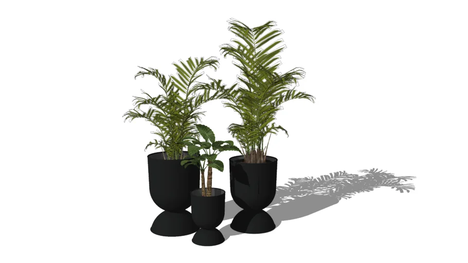 Big indoor plants set