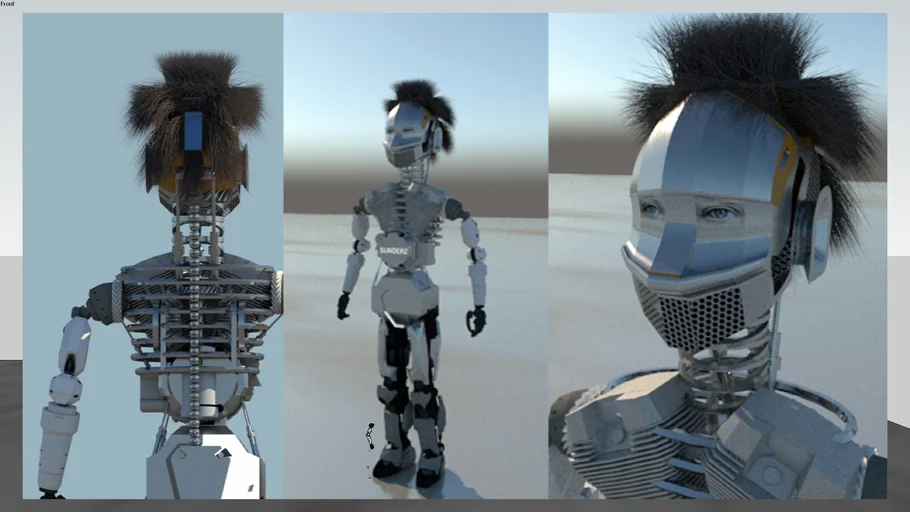 ROBOTIC WOMAN