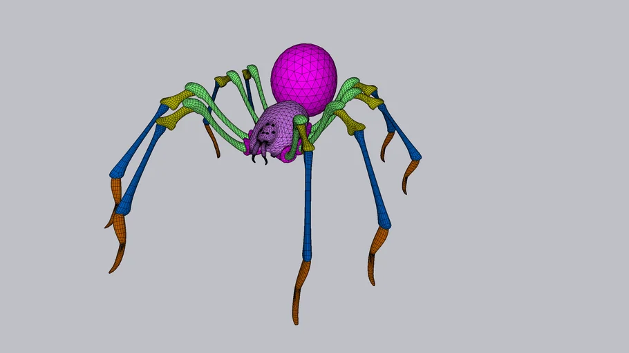 Spider model