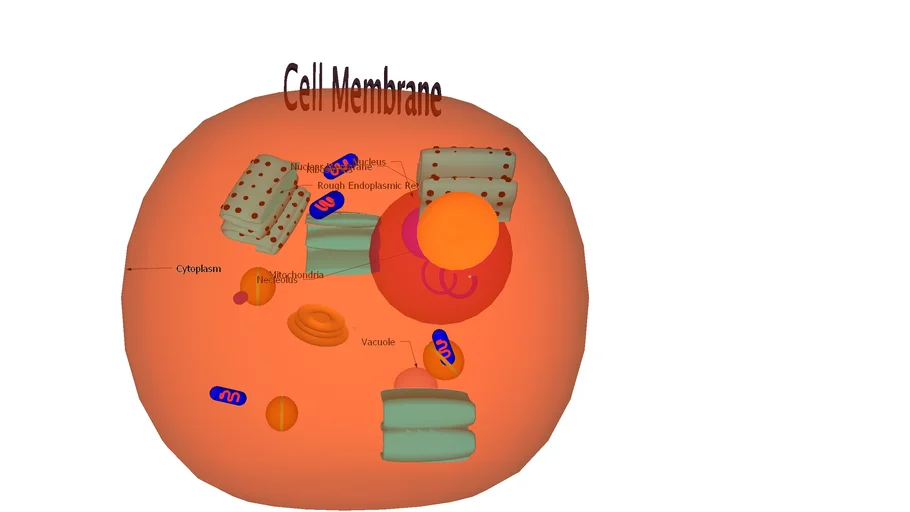 Cell model | 3D Warehouse