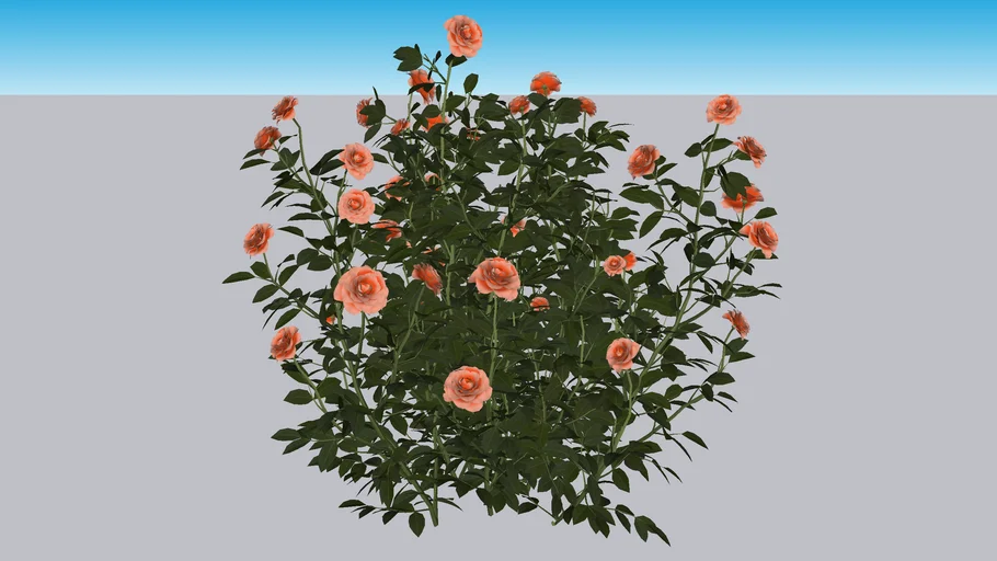 At Last® Rose - Rosa