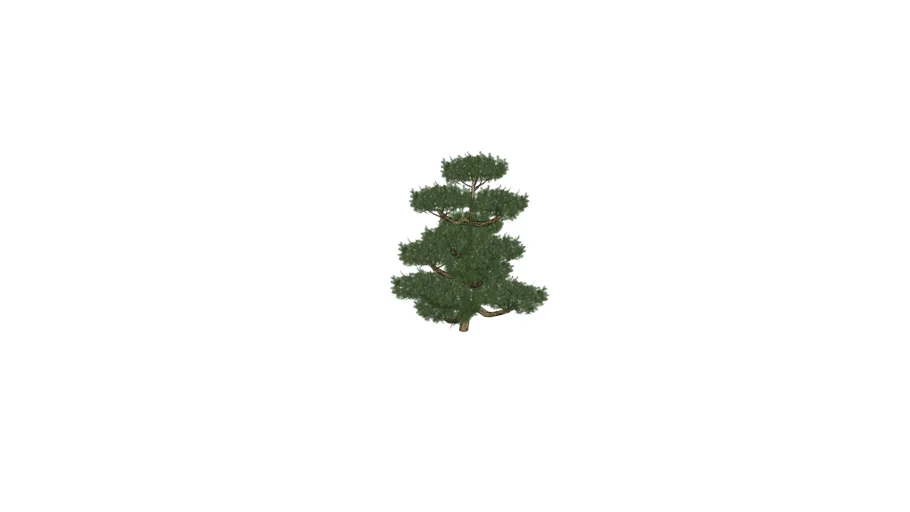 bonsai - Model - 3D Warehouse