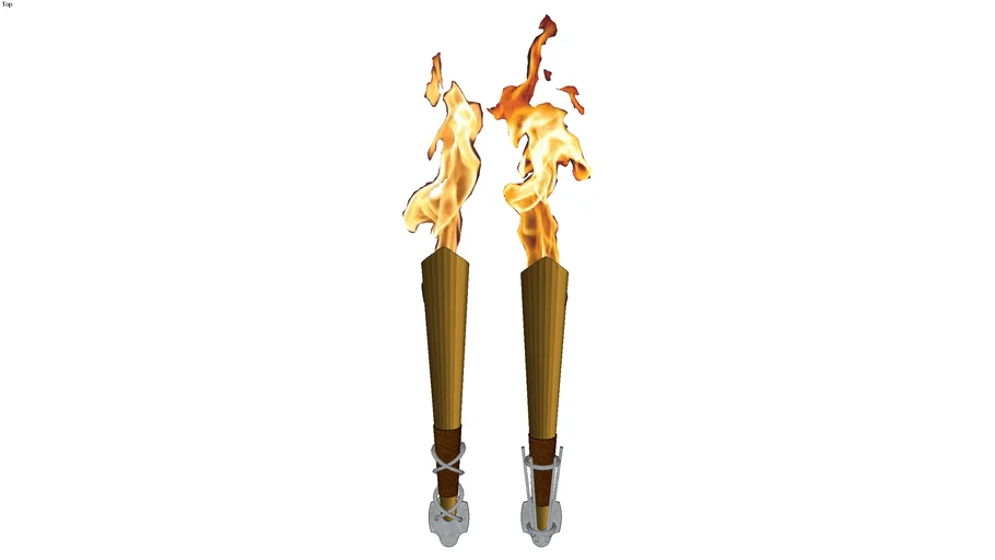 TORCH