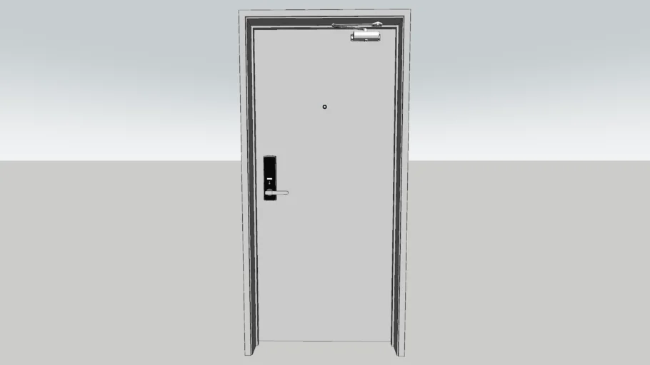 Front Steel Door
