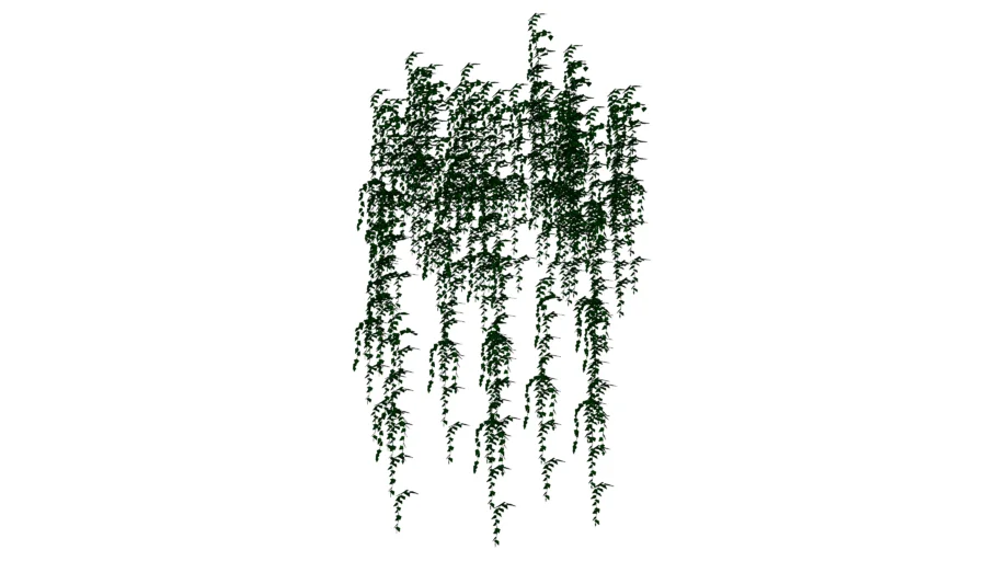 Enredadera