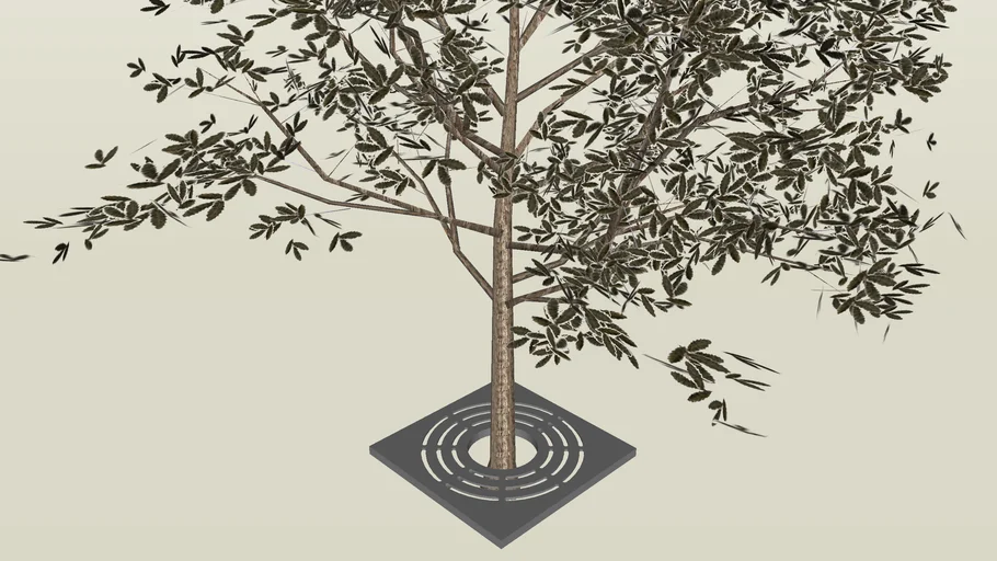 Plant for streets