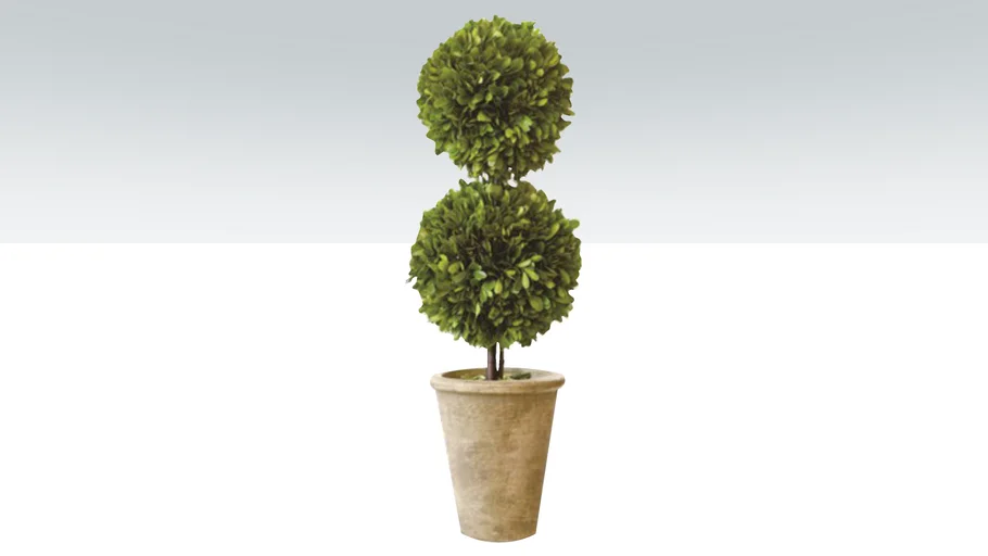 Topiary-Boxwood2] | 3D Warehouse