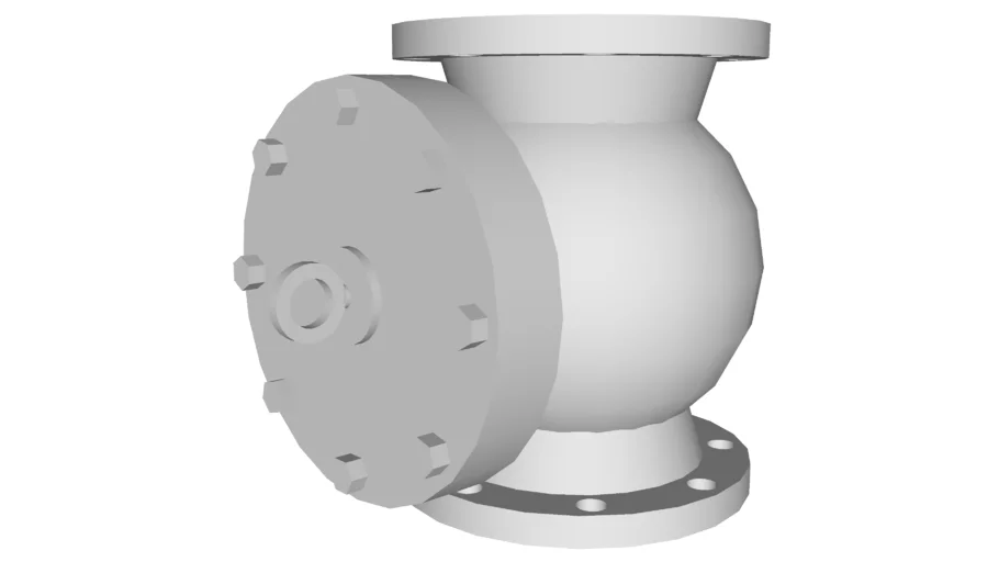 Check valve