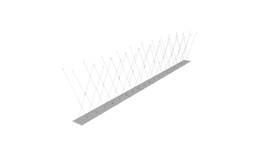 Bird Spikes