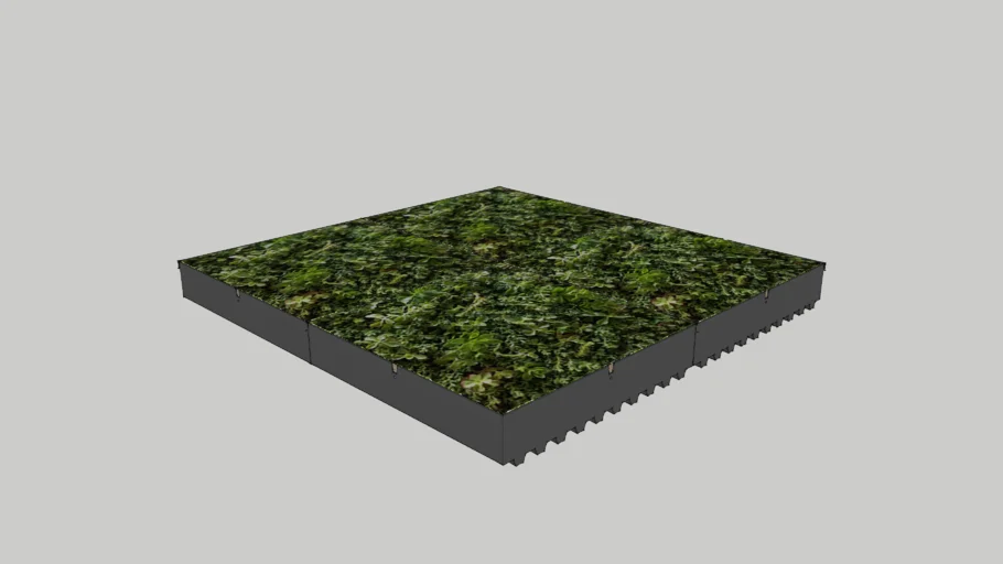 Green Roof Tray System: Pre-Grown