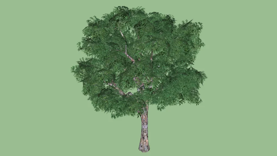 ARVORE 04