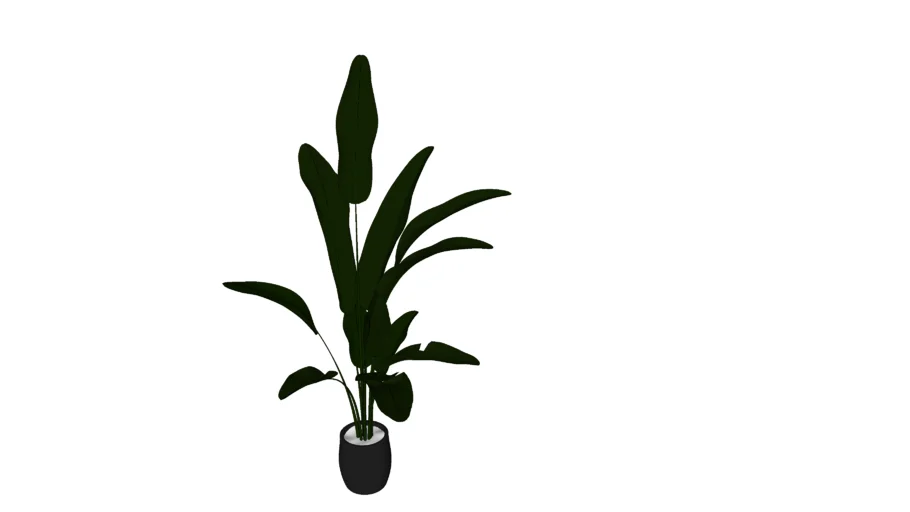 Vegetação