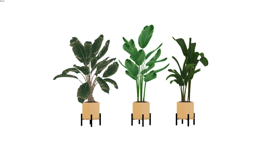 3 VASOS DE PLANTAS