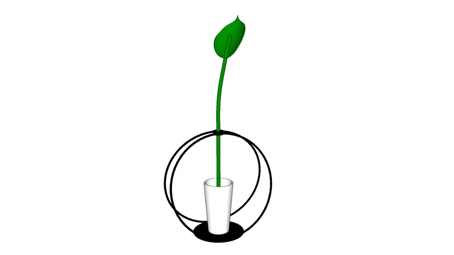 Vaso VAS
