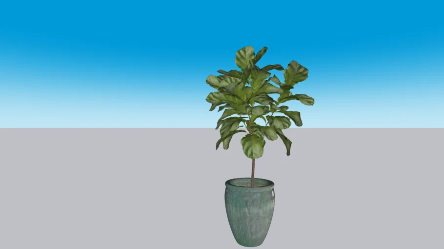 vaso de planta