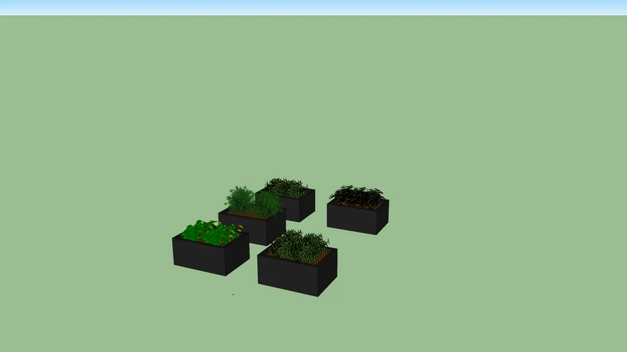 HORTA
