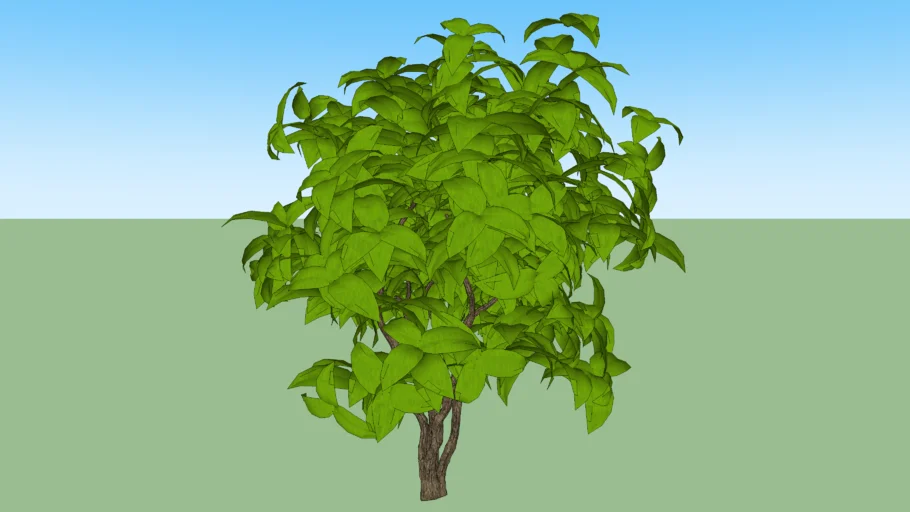 pohon 3d