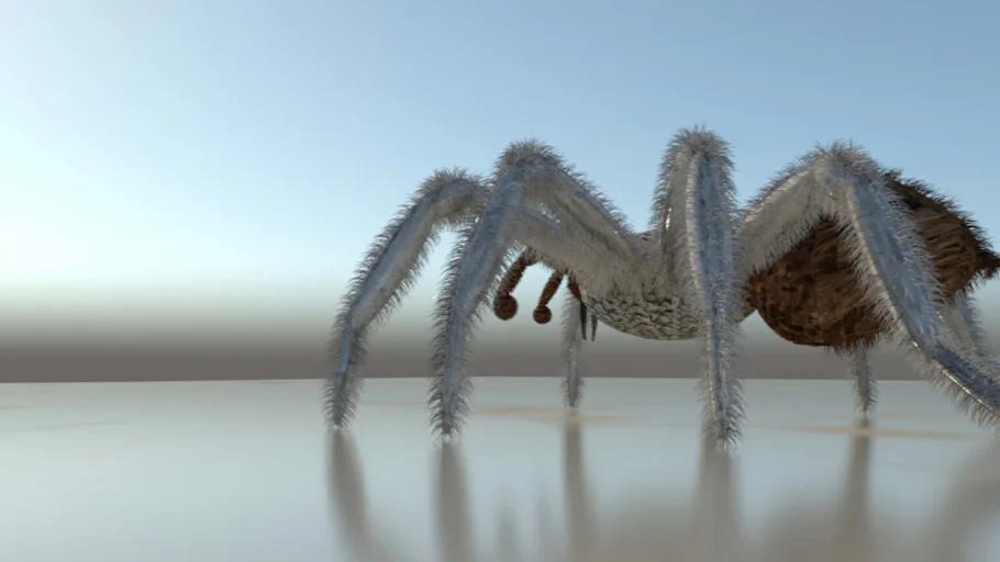 TARANTULA SPIDER