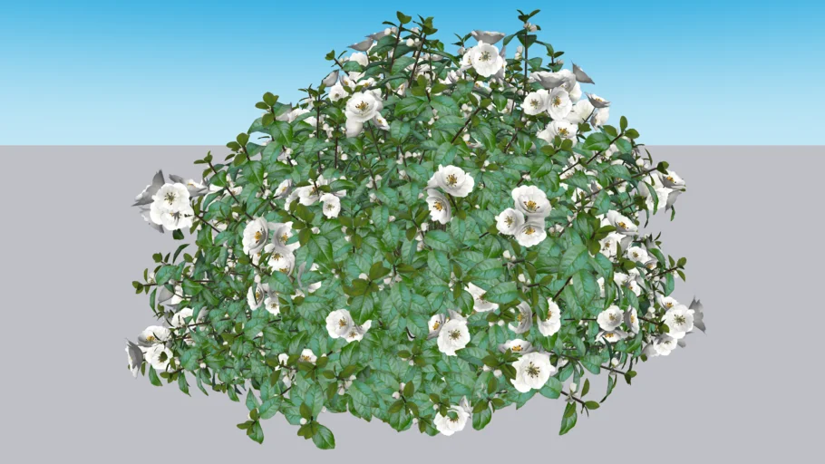 DOUBLE TAKE ETERNAL WHITE® Quince