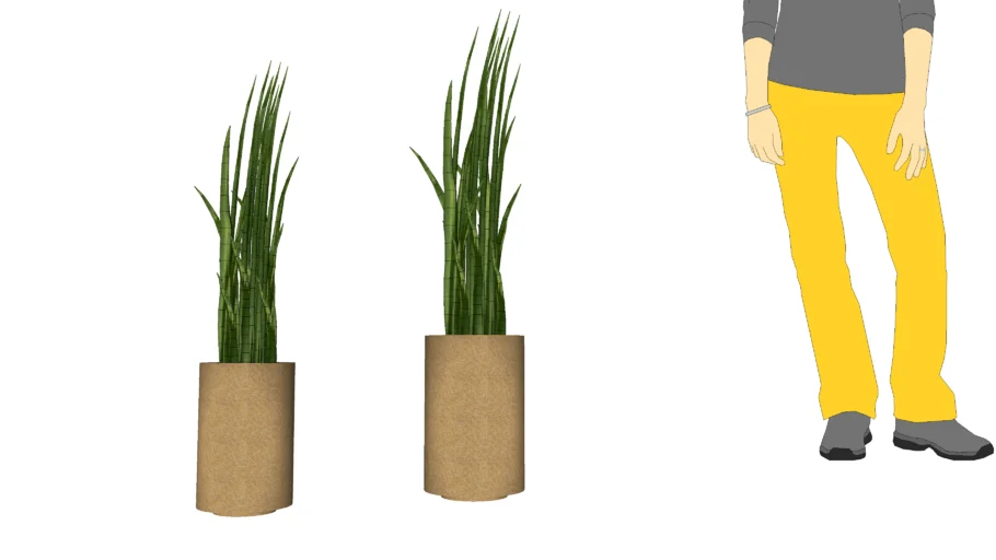 Vaso com planta